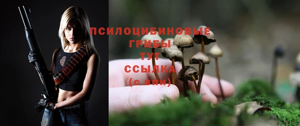 МДПВ Белая Холуница