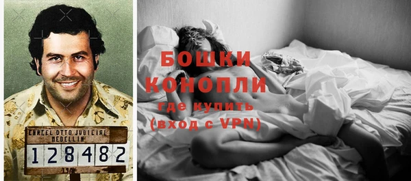 ГАЛЛЮЦИНОГЕННЫЕ ГРИБЫ Балабаново