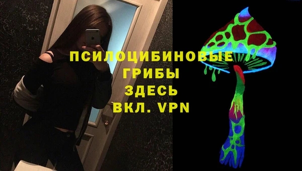 стафф Арсеньев