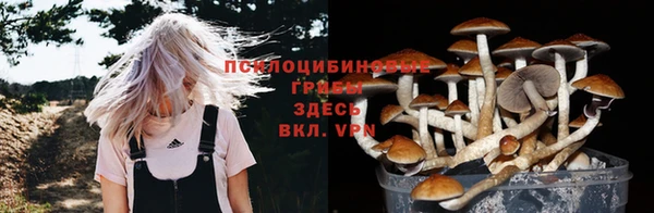 ГАЛЛЮЦИНОГЕННЫЕ ГРИБЫ Балабаново