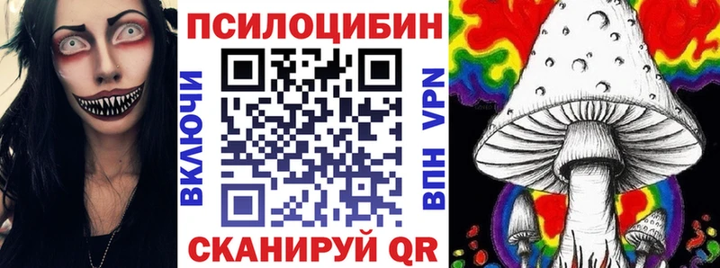 где можно купить   Белогорск  Псилоцибиновые грибы Psilocybe 